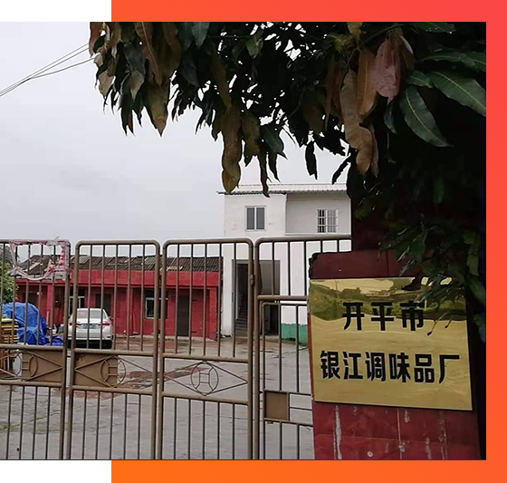 开平调味厂家